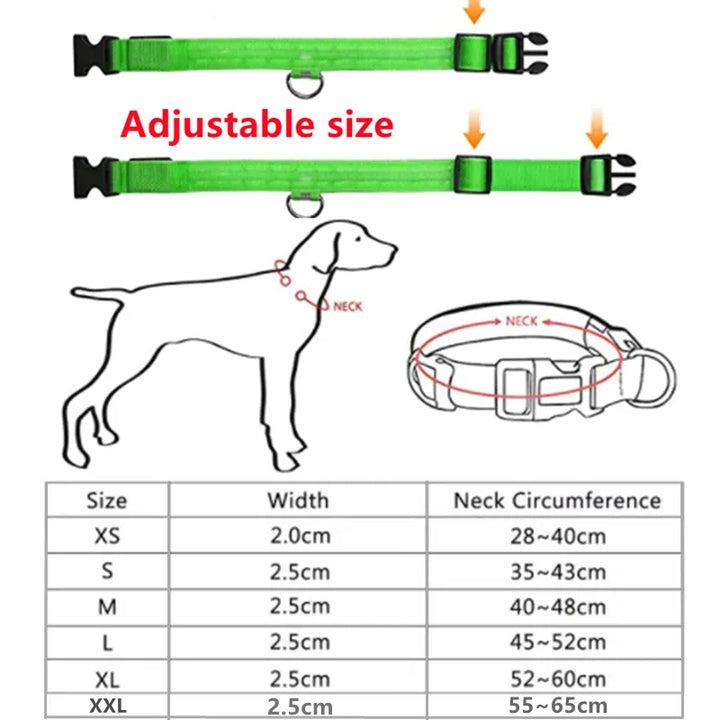 LED Glowing Anti-Lost Dog Collar