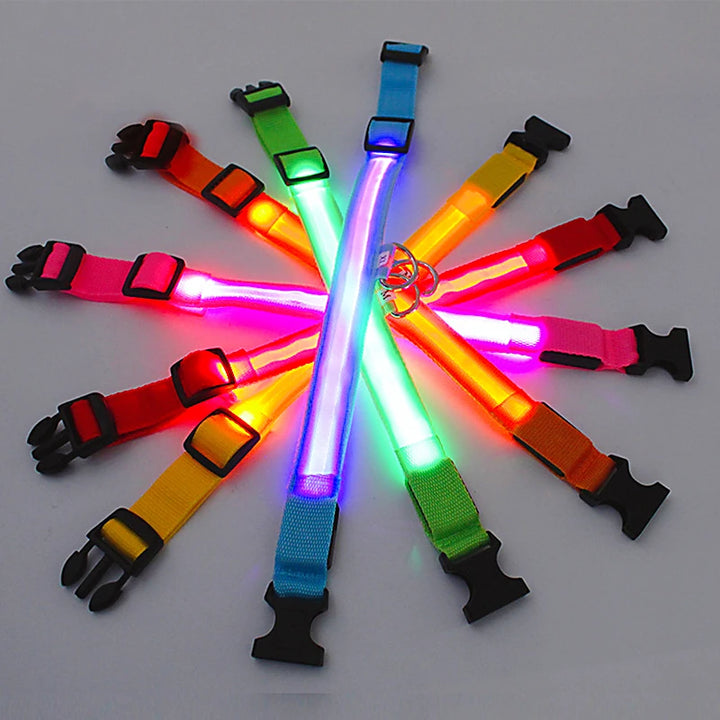 LED Glowing Anti-Lost Dog Collar