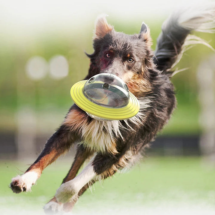 Dog Puzzle Treat Toy Interactive Training